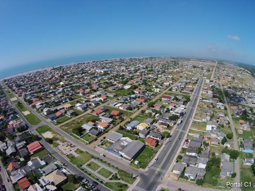 gaivota aérea