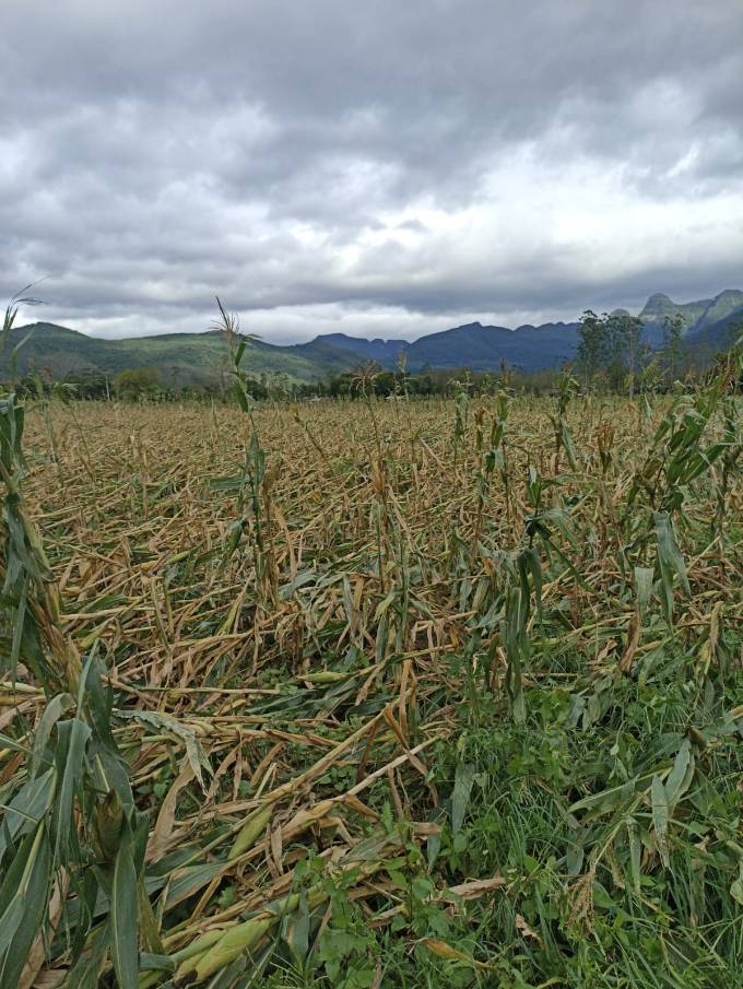 66a1f2cd-77b1-4d7b-8471-f2b78f3f26fe