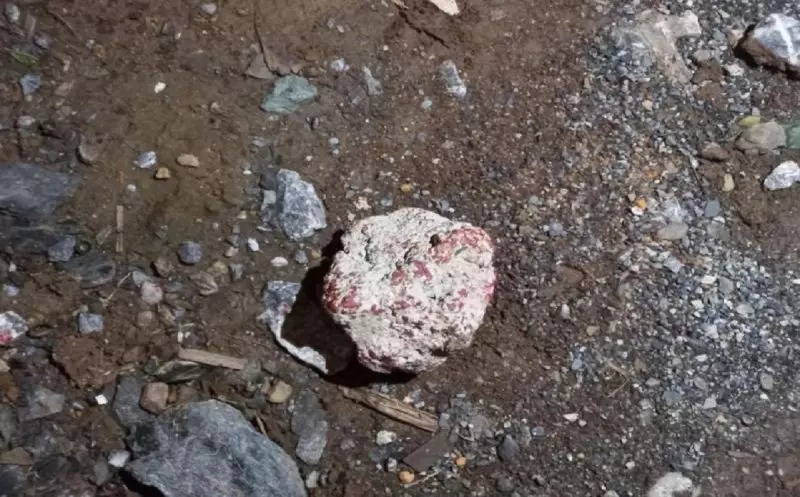 WhatsApp-Image-2024-03-18-at-9.18.28-AM