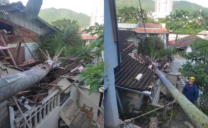 WhatsApp-Image-2024-03-18-at-9.47.10-AM