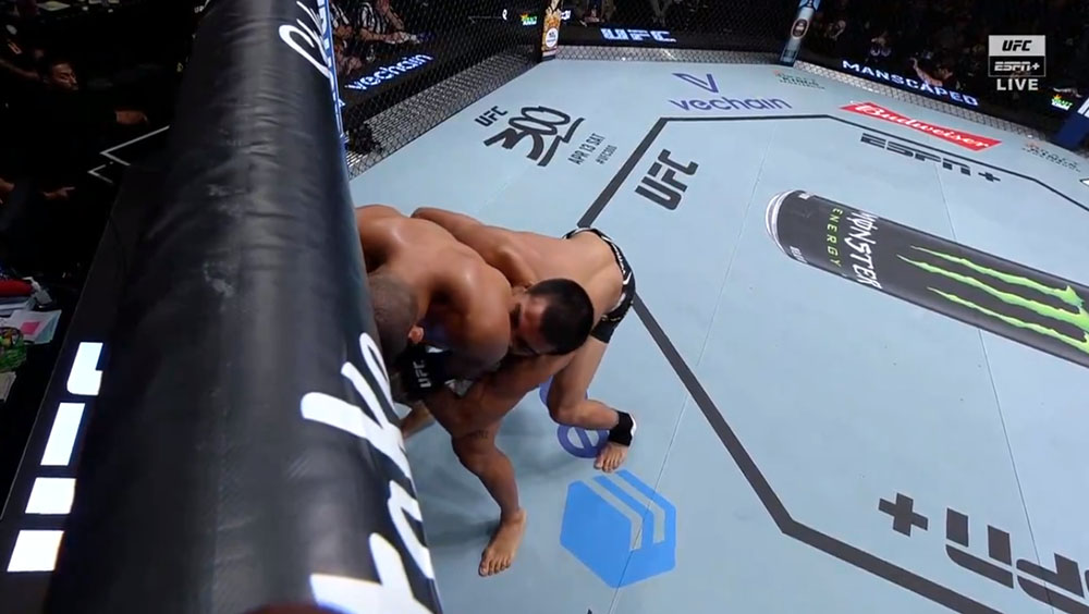 brasileiro-mordida-demitido-ufc