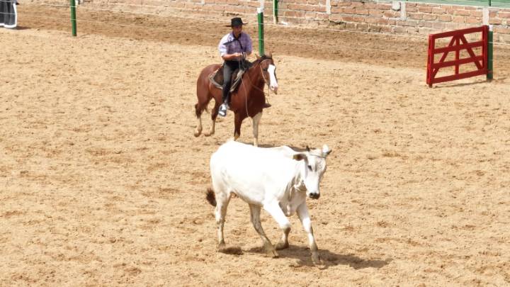 rodeio caverá dentro (1)