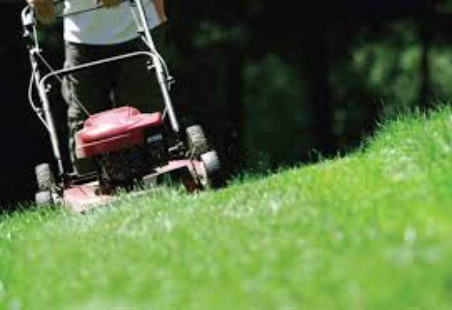 4128e41f-0962-4f95-b1e3-12521561fd47