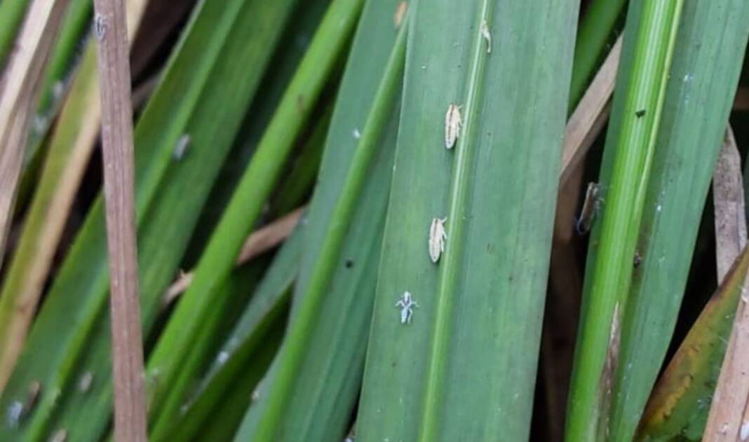 704e2146-23c0-4a4d-b627-ab5d4f324959