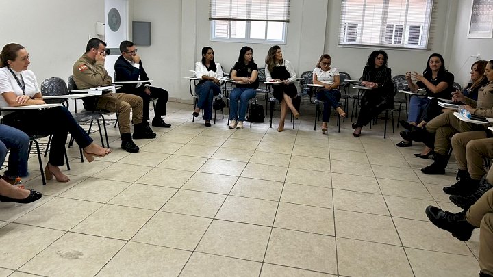 reuniao violencia domestica