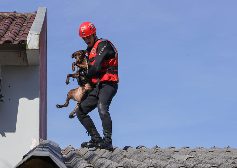 bombeiros sc rs dentro