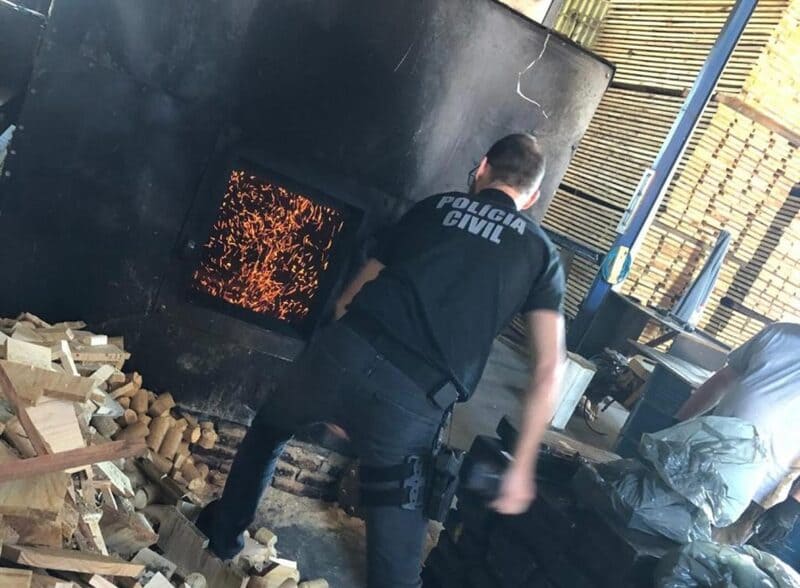 incineracao_maconha-1024x753 (1) (1)