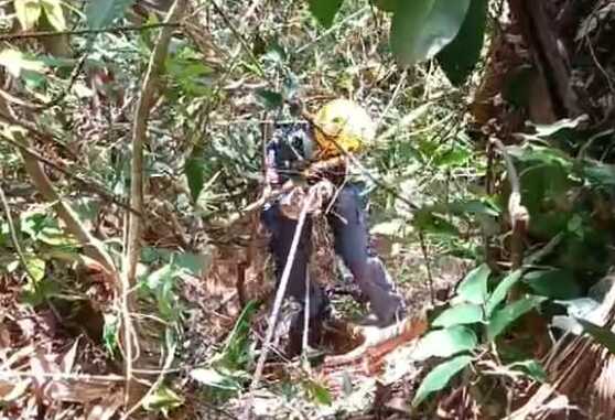 cachorro perdido morro grande