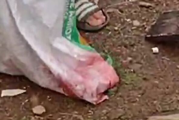 WhatsApp Image 2024-07-03 at 15.30.55 (1)