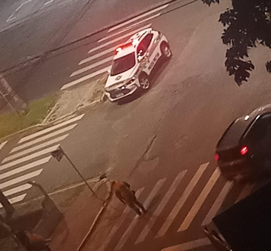 258b9fb7-7999-4d58-ae44-e74c7c4f236a