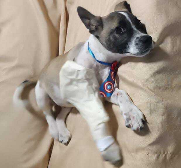 Imagem do WhatsApp de 2024-10-24 à(s) 09.46.57_afb5769a