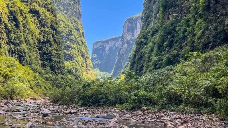 b9c39df6-4730-43c0-b78f-646899be4b0d (1)