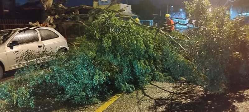 WhatsApp Image 2024-11-09 at 13.15.05 (1) (1)