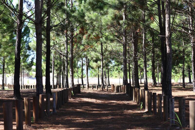 WhatsApp Image 2025-01-06 at 17.03.02 (1)