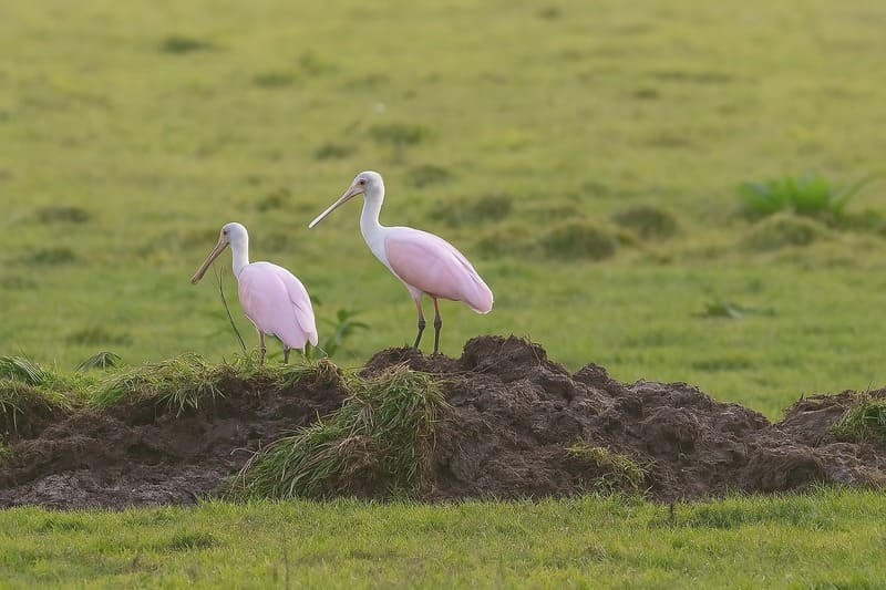 WhatsApp Image 2025-06-04 at 17.30.27 (1) (1)