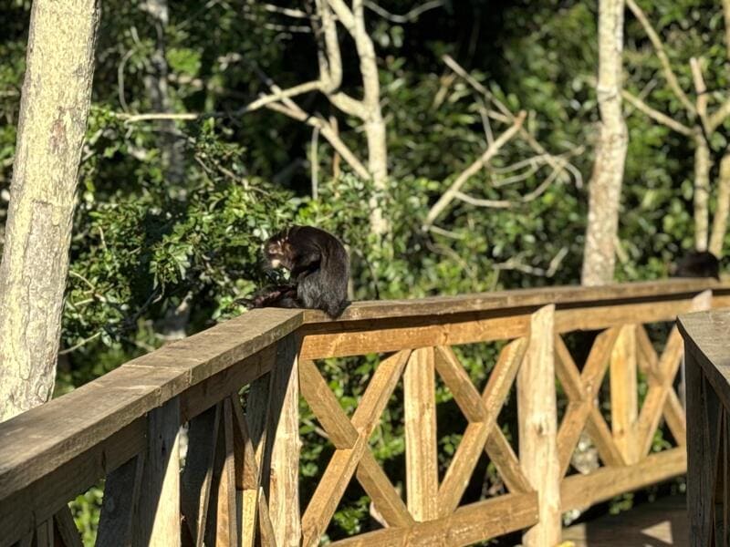 WhatsApp Image 2025-06-27 at 08.39.23