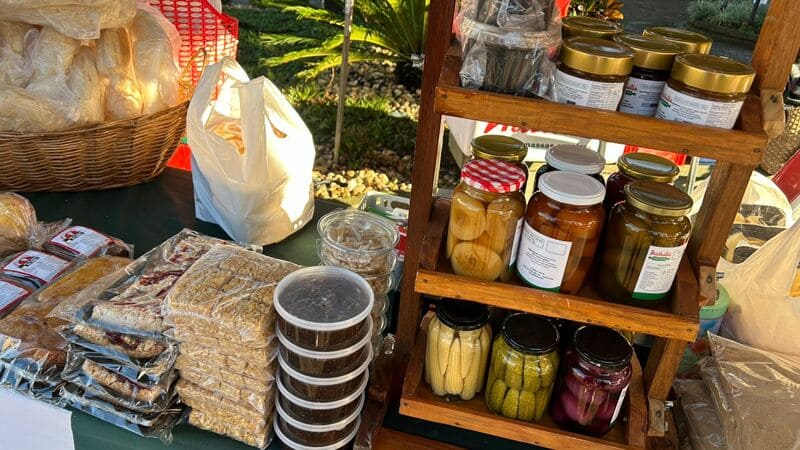 WhatsApp Image 2025-06-27 at 09.08.17