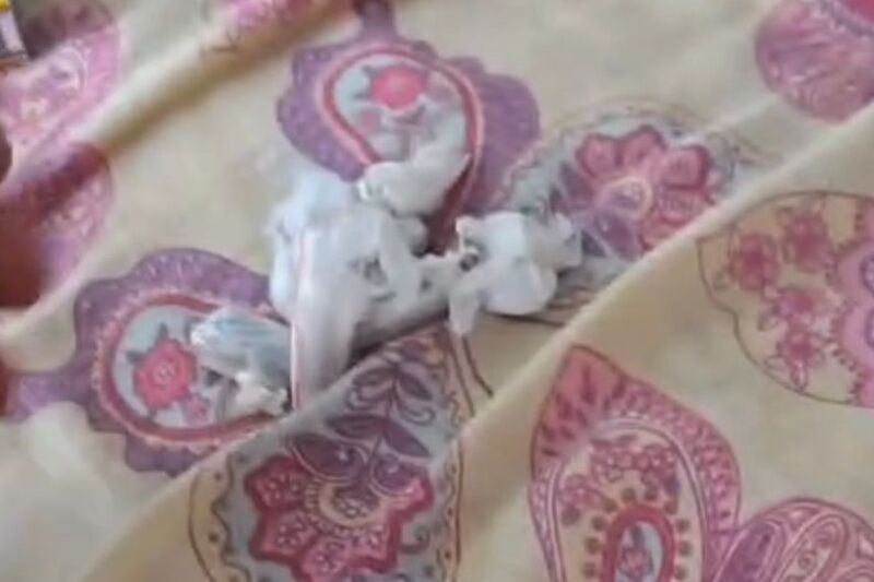 WhatsApp Image 2025-06-27 at 18.02.55 (1) (1)