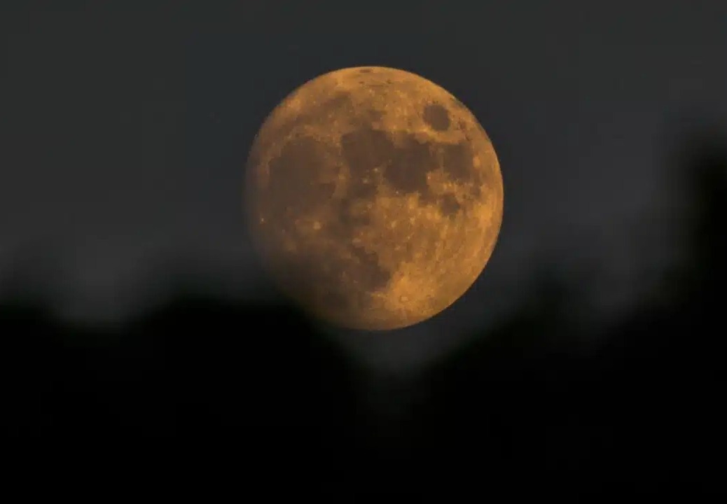 9447_lua-jpg