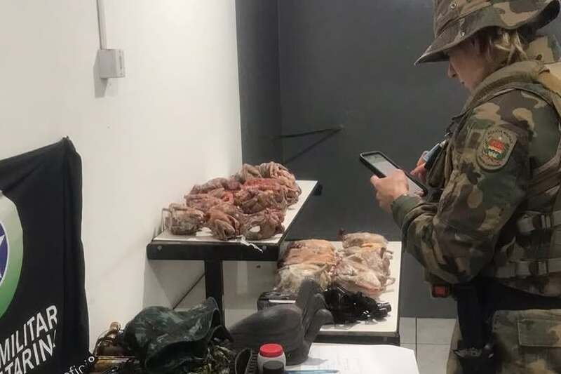APREENSÃO POR CAÇA ILEGAL EM UNIDADE DE CONSERVAÇÃO A Polícia Militar de Santa Catarina (PMSC), (4)