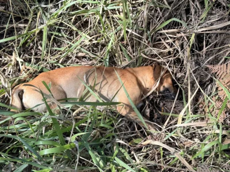 WhatsApp-Image-2025-07-03-at-15.06.35-585x439