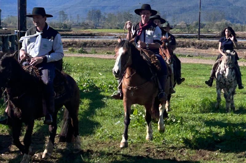 WhatsApp Image 2025-09-11 at 16.52.50 (1)