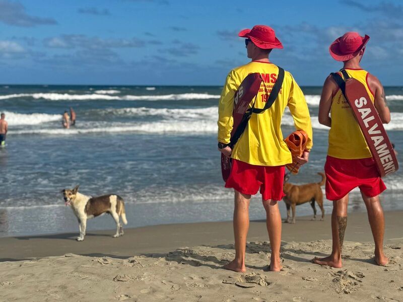 cd78ff59-59de-451f-b26e-36a3affa4670