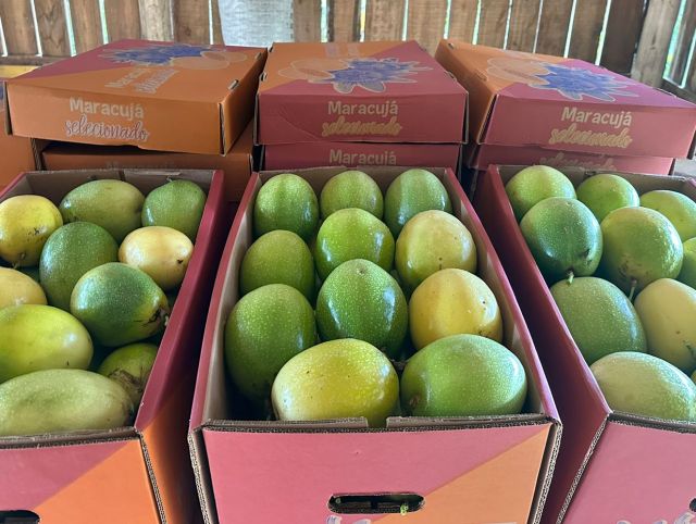 maracuja
