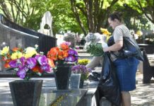 Finados: Balneário Gaivota reforça orientações para prevenir o Aedes aegypti nos cemitérios