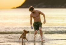 “Caramelo”: filme da Netflix emociona com história de amizade entre homem e cão e exalta a alma brasileira