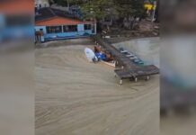 Espuma na Lagoa da Conceição é resultado de fenômeno natural