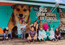 Balneário Gaivota realiza mega ação de castração gratuita e fortalece a causa animal