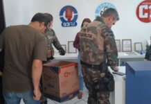 Filhotes de ave são resgatados após queda de ninho próximo à redação do Portal C1