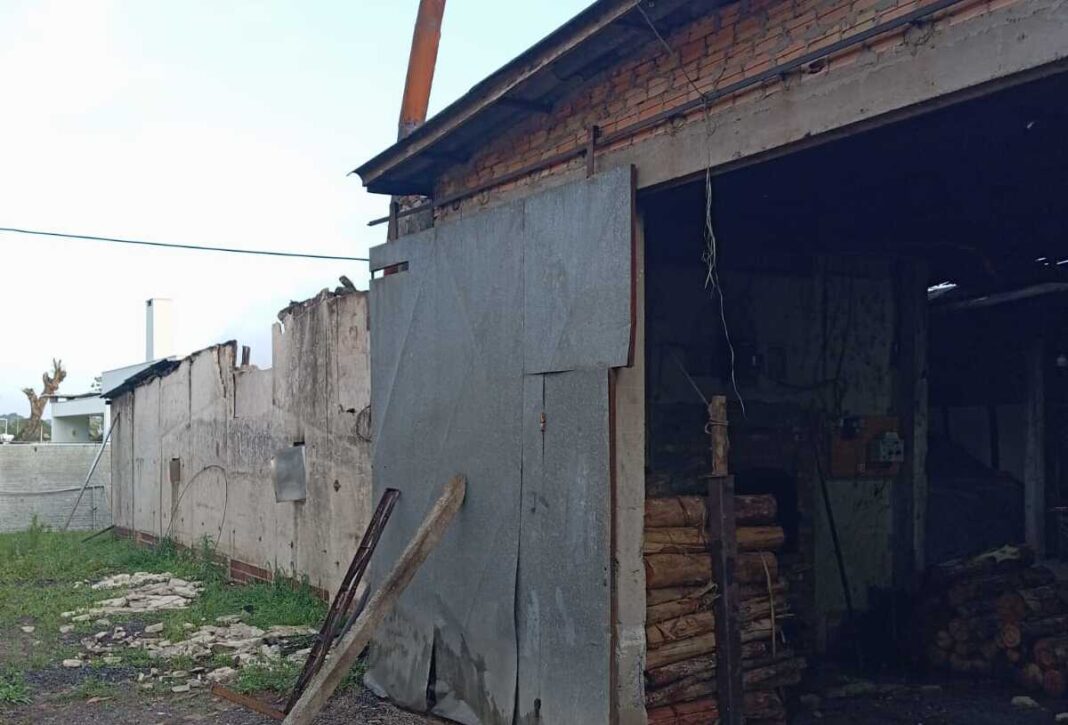 WhatsApp Image 2025-11-29 at 06.56.28