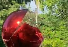 Polícia Civil identifica autores de vandalismo contra enfeites natalinos em Timbé do Sul