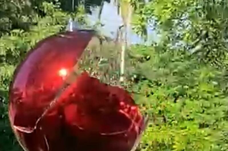 eafb1c91-0de0-4242-a746-6fe014fadba6