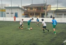 Verão agitado e bola rolando no Arroio do Silva: 6 Caneco estreia com vitória e empate no sintético de base