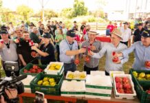 Começa hoje a 22ª edição do Campo Agroacelerador da Cooperja em Jacinto Machado