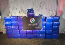 Operação da PM descobre depósito de drogas e apreende 842 quilos de maconha em Araranguá