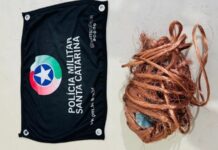 Homem é flagrado após furtar fios e leva PM até suposto receptador em Araranguá