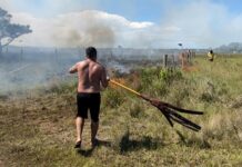 Incêndio atinge área de vegetação na divisa entre Balneário Gaivota e Arroio do Silva