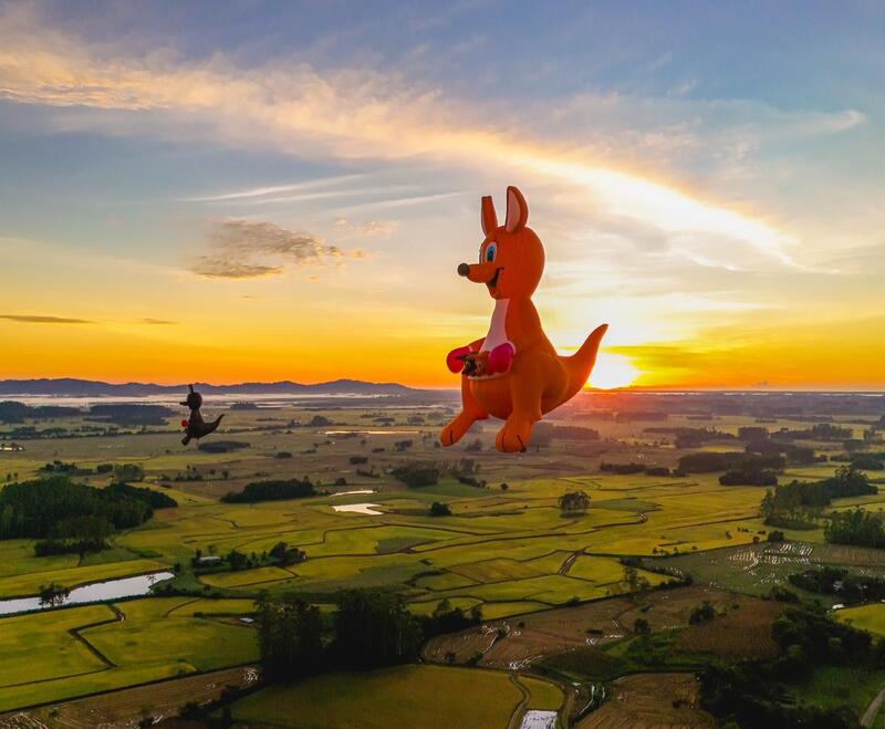 WhatsApp Image 2026-02-23 at 11.48.24