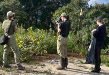 Pesquisadoras realizam estudo inédito sobre biodiversidade na Serra da Rocinha, em Timbé do Sul
