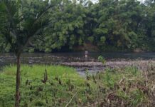 Mulher é resgatada após ser encontrada submersa em rio em Meleiro