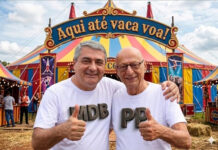 Rolando Christian Coelho | Antídio fará dobradinha com Amin ao Senado