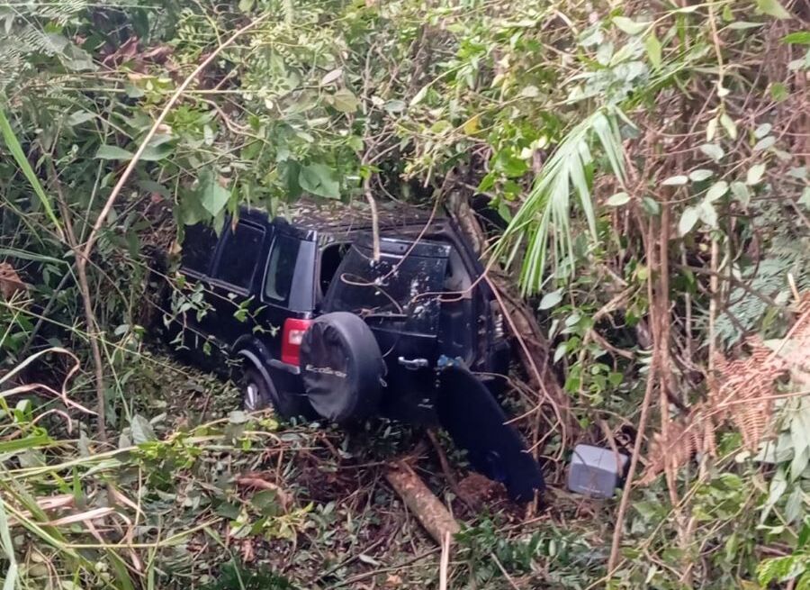 automovel-cai-em-mata-dia-14 (1)