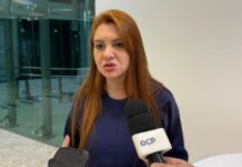 Ana Campagnolo diz que possível chapa de Júlia Zanatta com Flávio Bolsonaro é “só uma fumaça”