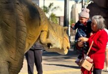 Fim de semana de sol leva famílias e visitantes ao Belinzoni Dino Parque