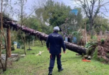 Defesa Civil reconhece situação de emergência em 17 municípios do RS