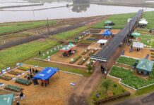 Cooperja promove dia de conhecimento e inovação no 5º Campo Agroacelerador de Inverno